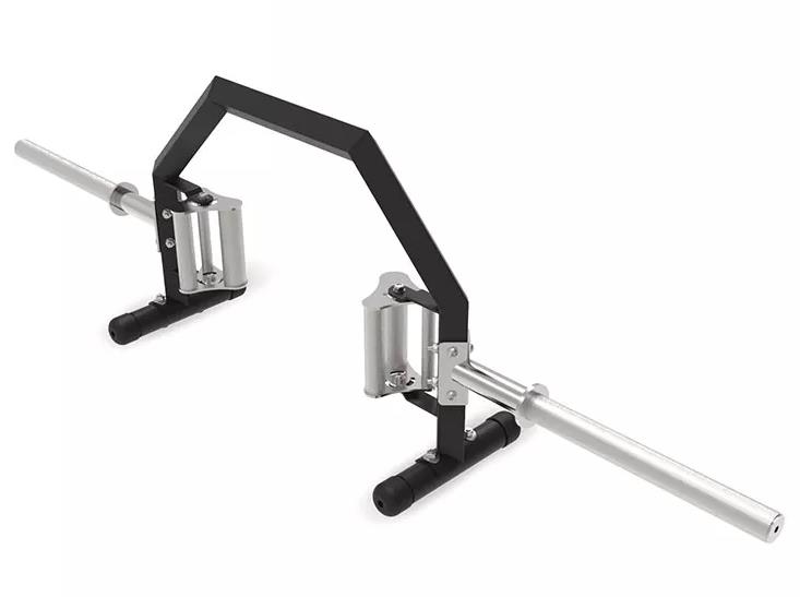 Zeintzuk dira pisu-aukera estandarrak barbells egiteko?
